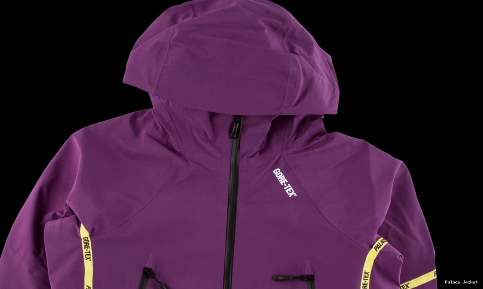 Affordable Palace Gore-Tex Palex Jacket 0824